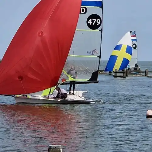 49er for sale  Friesland / Sloten