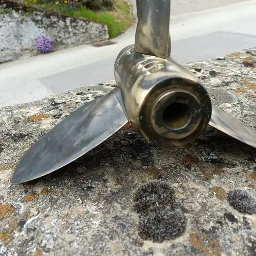 Surprise à vendre Neuchâtel / Neuchâtel